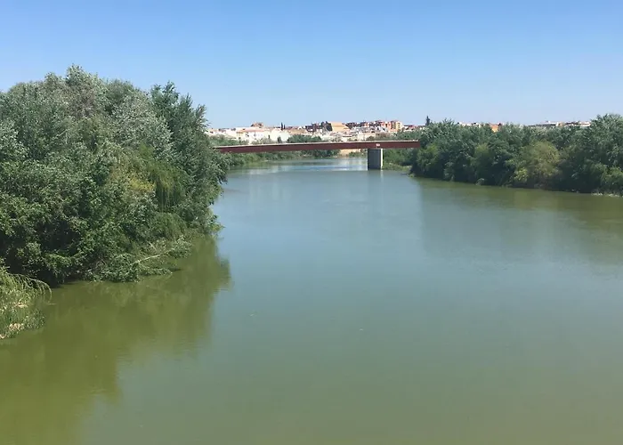 La Condesa De Vallellano 아파트 *