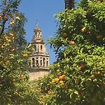 La Condesa De Vallellano Cordoba