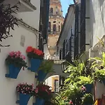 La Condesa De Vallellano Cordoba