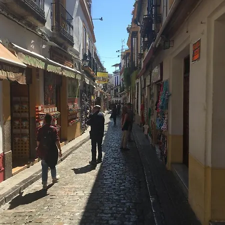 La Condesa De Vallellano Apartment *