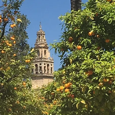 La Condesa De Vallellano Cordoba