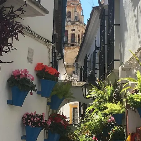 La Condesa De Vallellano Cordoba