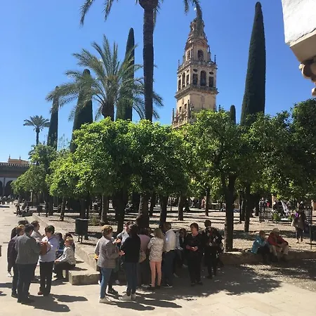 公寓 La Condesa De Vallellano *