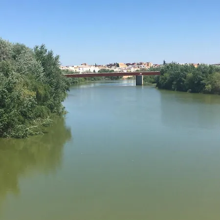 La Condesa De Vallellano Lägenhet *