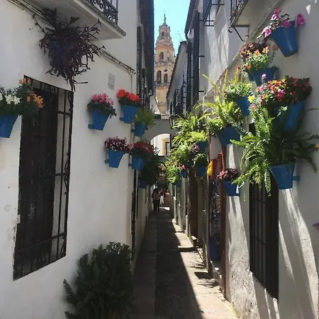 La Condesa De Vallellano & Paking Opcional