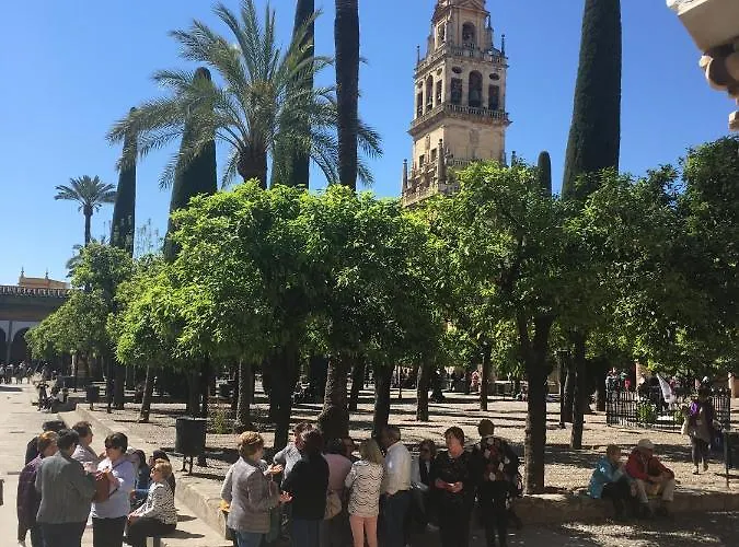 Apartamento La Condesa De Vallellano *