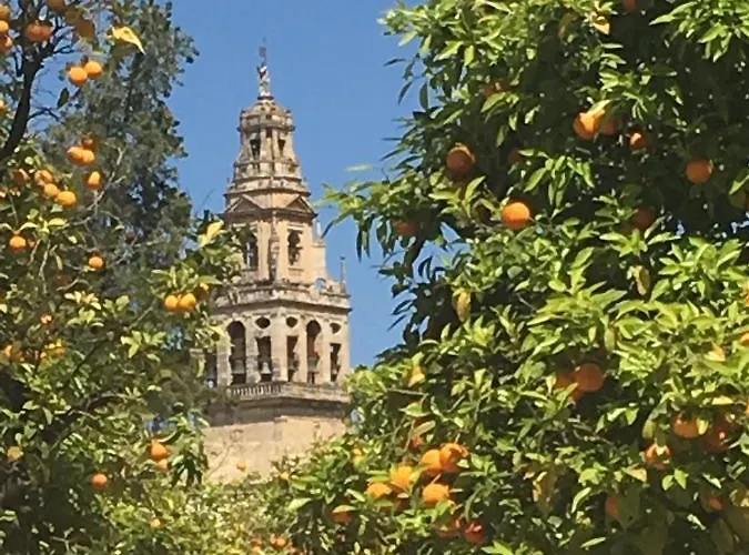 La Condesa De Vallellano コルドバ