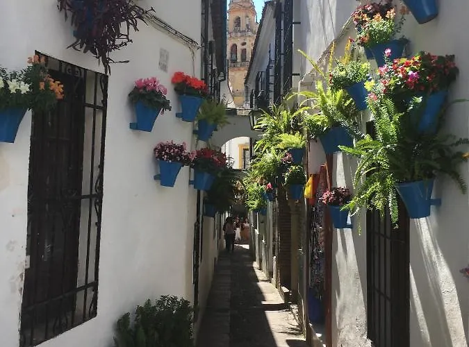 La Condesa De Vallellano