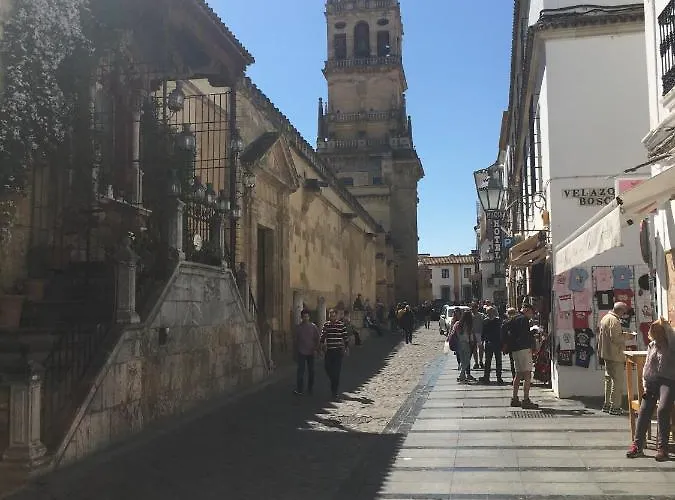 La Condesa De Vallellano 公寓 *