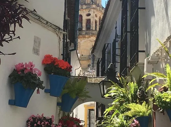 La Condesa De Vallellano 科爾多瓦